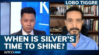 Why has silver price not yet spiked from demand, but copper has? Lobo Tiggre