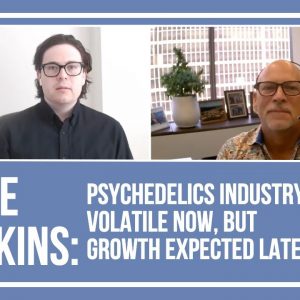 Horizons ETFs CEO: Psychedelics Industry Volatile Now, but Growth Expected Later