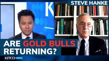 Sentiment for gold price is at most bullish level this year – Steve Hanke