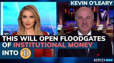 Bitcoin price can hit 100k if these concerns are addressed - Kevin O'Leary (Pt. 1/2)