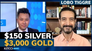 $150 silver and $3k gold? Expect summer ‘fireworks’ from inflation, Basel III – Lobo Tiggre
