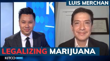 Marijuana to be decriminalized? House reintroduces bill; what investors need to know – Luis Merchan