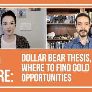 Lobo Tiggre: Dollar Bear Thesis, Where to Find Gold Opportunities