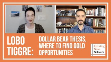 Lobo Tiggre: Dollar Bear Thesis, Where to Find Gold Opportunities