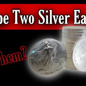 Type Two Silver Eagles - Are They Worth Buying?