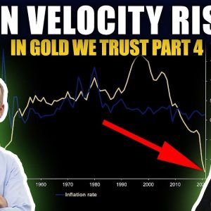 BEWARE: What Happens When Velocity Rises? In Gold We Trust (Part 4)