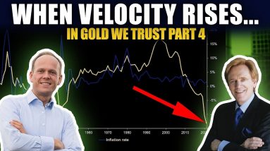 BEWARE: What Happens When Velocity Rises? In Gold We Trust (Part 4)