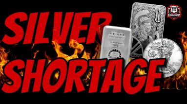 Silver Shortage Lies and 102 Million Ounces Of Silver