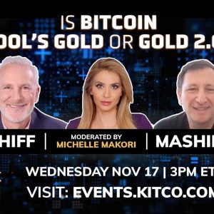 Wealth preservation in the next economic crisis - Is Bitcoin Fool’s Gold or Gold 2.0?