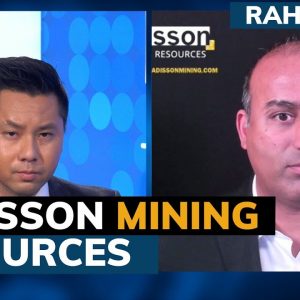 Radisson Mining CEO gives outlook on gold, miners, and company performance - Rahul Paul