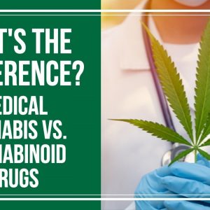 What's the Difference Between Medical Cannabis and Cannabinoid Drugs?
