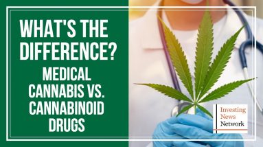 What's the Difference Between Medical Cannabis and Cannabinoid Drugs?