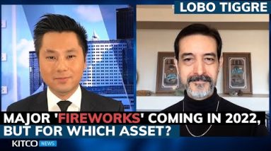 Brace for major market 'fireworks' - Lobo Tiggre's bold 2022 predictions for gold, silver, Fed
