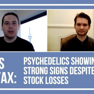 James Halifax: Psychedelics Showing Strong Signs Despite Stock Losses