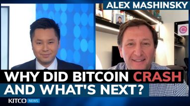 Why did Bitcoin crash, and will it ever recover? Alex Mashinsky