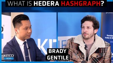 This is how the metaverse will transform meetings, ownership – Hedera Hashgraph’s Brady Gentile