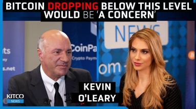 If Bitcoin price drops below this level, Kevin O’Leary would be concerned; here’s why