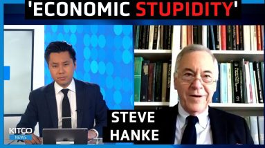 Nothing can fix inflation now, ‘economic stupidity’ is underway by the Fed, Biden – Steve Hanke