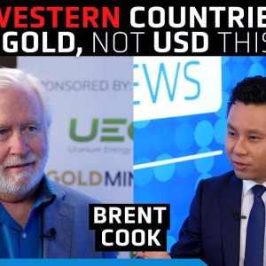 Central banks will load up on gold this year, commodities will 'recapitulate' - Brent Cook