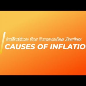 Inflation for Dummies Series: What Causes Inflation Part 2/7 | Types Of Inflation