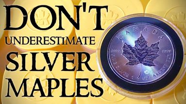 Why You NEED to Consider Stacking Silver Maple Leaf Coins
