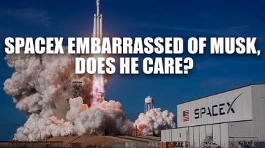 SpaceX Employees Want Musk Out, SpaceX Fired Them Instead By @Natly Denise