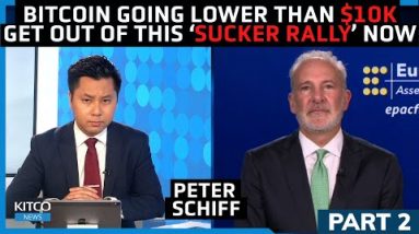 Bitcoin won't see new highs again; Peter Schiff says  MicroStrategy is next to crash (Pt. 2/2)