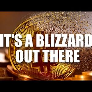 Crypto Winter Is Over, It's Now A Blizzard | Is Crypto Starting To Recover? By @Anna Khait