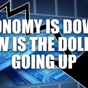 Understanding How The Value Of The Dollar Stays Up Even When The Economy Is Down By @Riss Flex