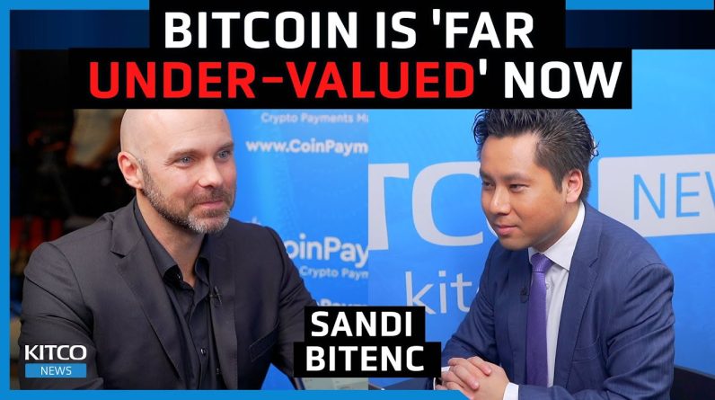 Bitcoin will become 'reserve currency', it is 'deflationary' - Sandi Bitenc