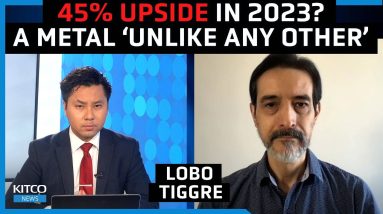 This metal 'unlike any other' will rally 45% in 2023, but avoid these other assets says Lobo Tiggre