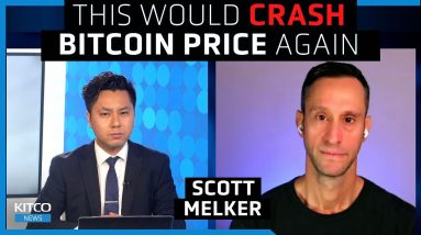 ‘Massive selling of Bitcoin’ if this major crypto company implodes next - Scott Melker