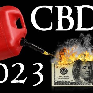 CBDC ALERT 2023 GOODBYE FREEDOM - Central Bank Digital Currency in USA