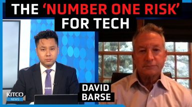 These stocks won't survive what's coming, why regulation is 'number one' risk to tech - David Barse