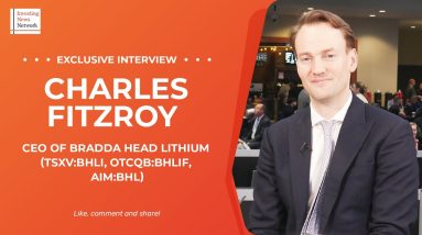 Funding early-stage exploration key to US lithium domestic supply, Bradda Head Lithium CEO says