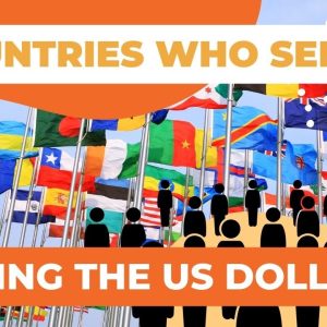 Countries Who Seized Using The US Dollar | Why BRICS' Dollarization Is Working