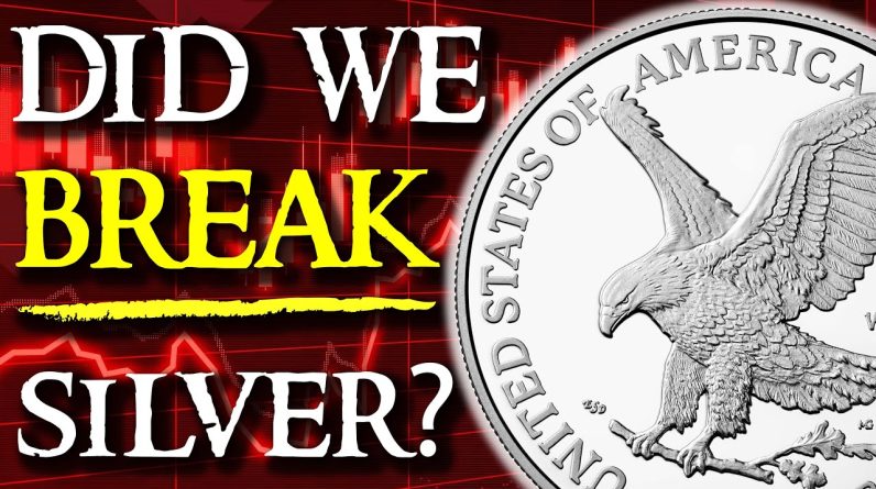 Silver Price Down AND Dollar Down? SYSTEM ALERT