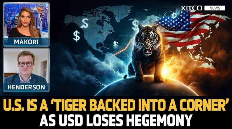 U.S. Is a ‘Tiger Backed into a Corner’ as Dollar Loses Hegemony, More Conflicts & Trade Wars Coming