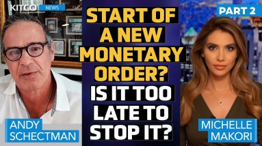 End of Petrodollar? Start of a New Monetary Order? Can This Be Stopped? – Andy Schectman Part 2/2