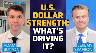 ‘Cyclical Slowdown’ and U.S. Dollar: What's Driving the Strength? - Adam Button