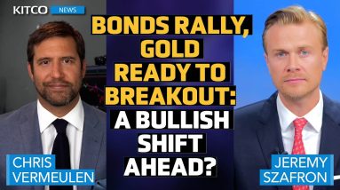 Is the Stock Market Ready to Break Down? Gold and Bonds Send Strong Signals - Chris Vermeulen