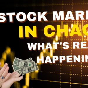 Stock Market Crash Uncovered: What Really Went Down?