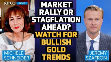 Is Stagflation Here? Market Warnings and Opportunities for Stock and Metals - Michele Schneider