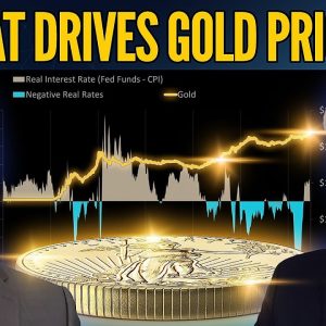 Gold Price: Where To From Here? Fake Rates vs Real Money | Mike Maloney & Alan Hibbard