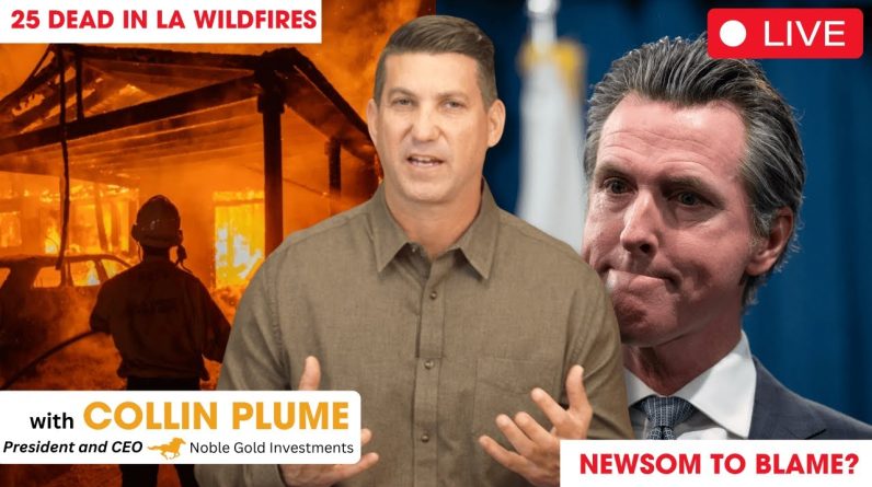 Is Gavin Newsom To Blame For The California Wildfires?