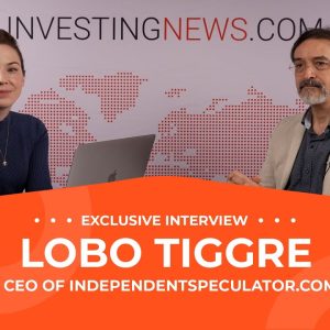 Lobo Tiggre: Gold, Silver, Uranium, Copper — Bullish, but Pick Stocks Wisely