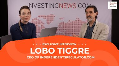 Lobo Tiggre: Gold, Silver, Uranium, Copper — Bullish, but Pick Stocks Wisely