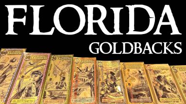 The NEW Florida Goldbacks Have a Secret 👀🤫